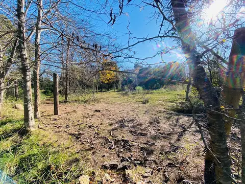 Terreno en Venta en Loma Verde, USD 150.000