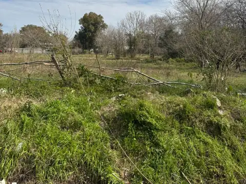 Lote de 2.500 m2 - La Bota