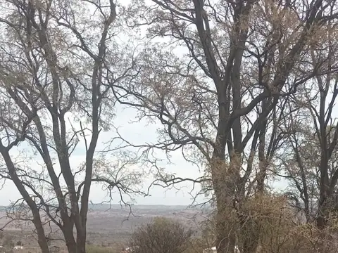 VENTA CAMPO 26HT, QUEBRADA DE LUNA. C/ AGUA Y LUZ