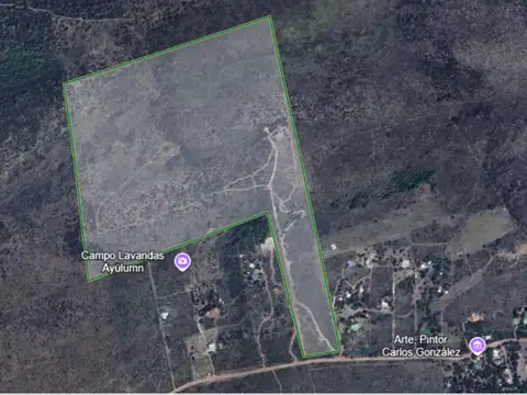 VENTA CAMPO 26HT, QUEBRADA DE LUNA. C/ AGUA Y LUZ