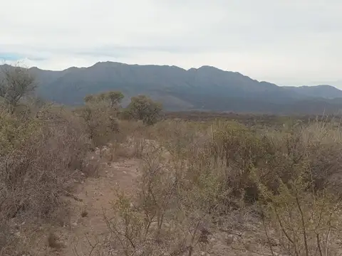 VENTA CAMPO 26HT, QUEBRADA DE LUNA. C/ AGUA Y LUZ