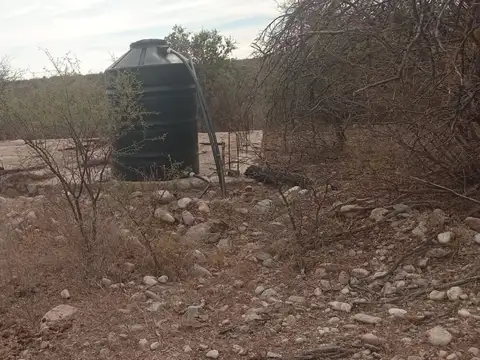 VENTA CAMPO 26HT, QUEBRADA DE LUNA. C/ AGUA Y LUZ