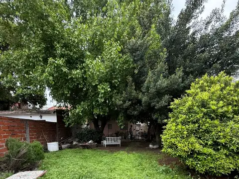 Alvear 3900