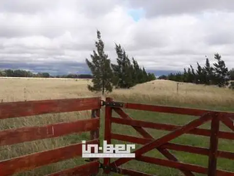 Campo - Venta - Argentina, Punta Indio