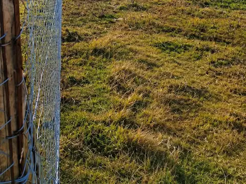 Terreno en Venta de 483,0 m2