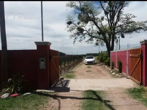Castro al 400