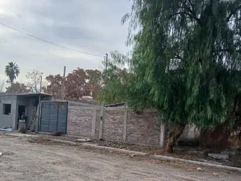 Pedro Pascual Segura 1400
