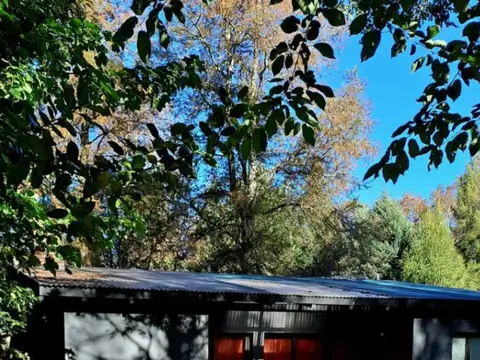 HERMOSA CABAÑA CON  ENTORNO DE BOSQUE 100