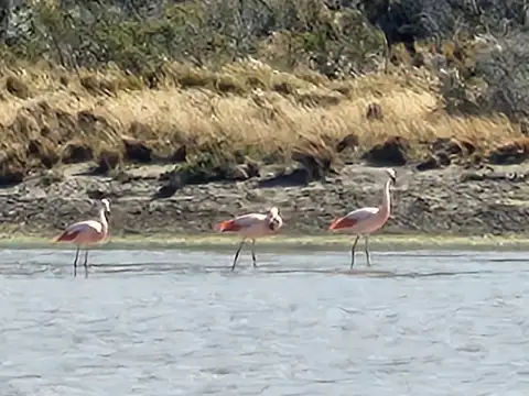 Venta - Estancia de 18.200 hectáreas con costas de lago Santa Cruz