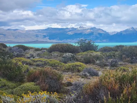 Venta - Estancia de 18.200 hectáreas con costas de lago Santa Cruz