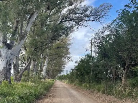 Terreno en Venta de 7500,0 m2