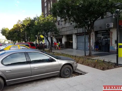Constitucion 1100