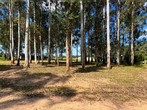 Terreno en Venta en Colón