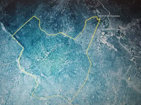 Salsacate Campo de 225 hectareas aprto cultivo Ganaderia Turismo