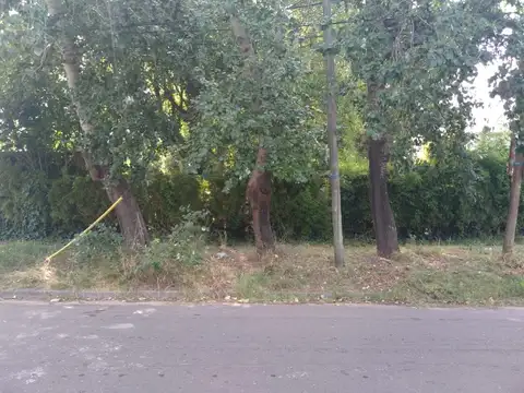 Terreno en Venta de 320,0 m2