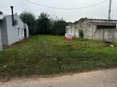 Perón entre Brown y Laplacette