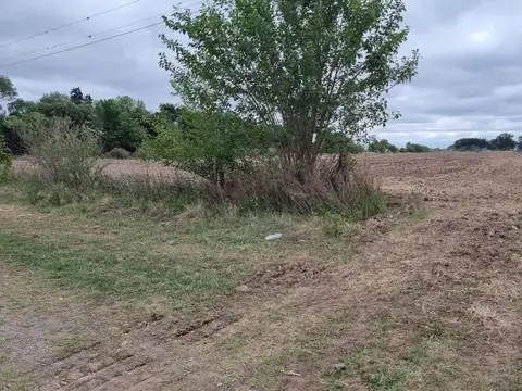 Terreno - Villa Amelia