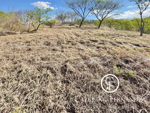 Terreno en Venta de 3773,0 m2