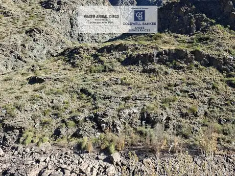 Cuadro Benegas