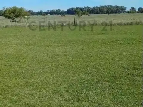 ALquiler/Campo/La Plata