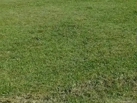 ALquiler/Campo/La Plata
