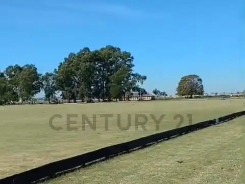 ALquiler/Campo/La Plata