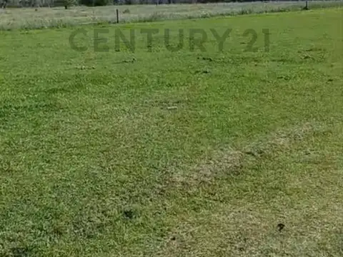 ALquiler/Campo/La Plata