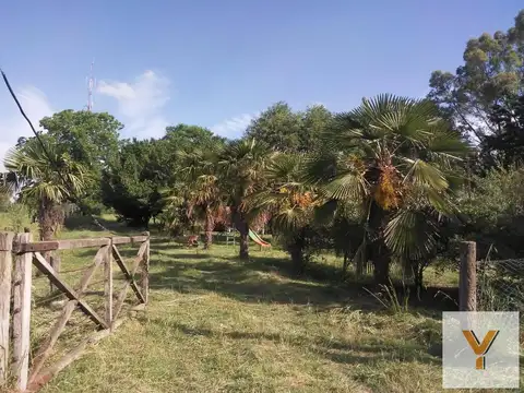 Campo en venta - 3 Dormitorios 1 Baño - Cochera - 33.611Mts2 - Tandil