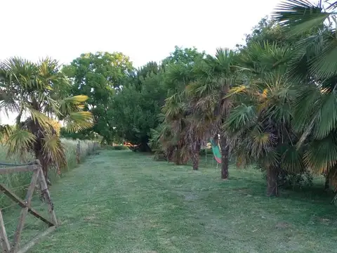Campo en venta - 3 Dormitorios 1 Baño - Cochera - 33.611Mts2 - Tandil