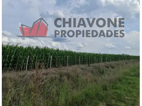 178 ha agrícolas, Cuartel III - Gral Las Heras. L30004