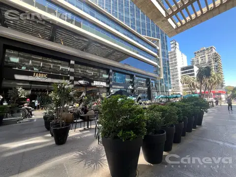 Oficina en Alquiler al Este