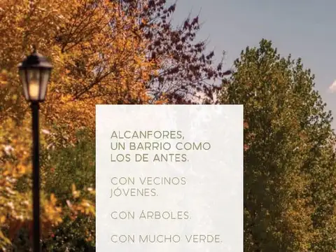 Los Alcanfores 100