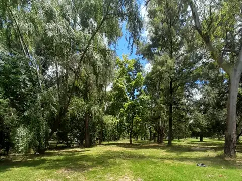 Campo en Venta de 12  ha