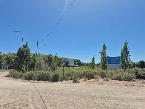 Terreno en Venta en Cinco Saltos, USD 135.000