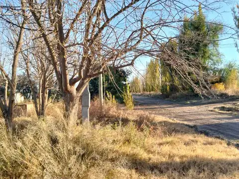 Rincon del Indio