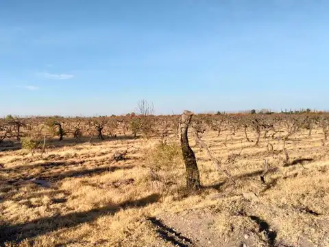 Rincon del Indio