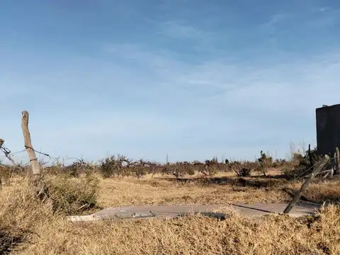 Venta Finca en Real del Padre, San Rafael, Mendoza