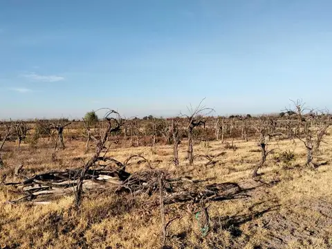 Rincon del Indio