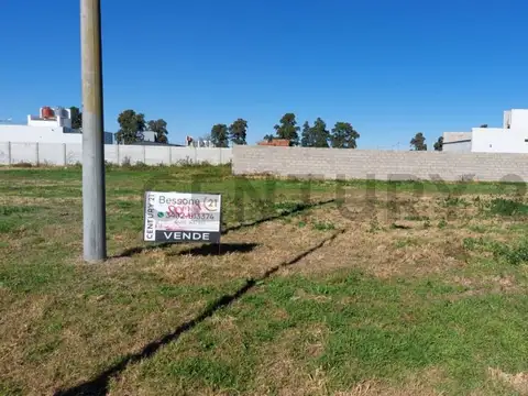 Cacciolo 1500, Piso 0