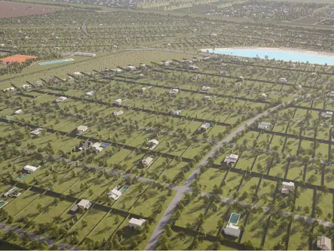 Vida Lagoon