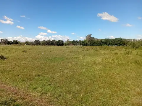 Venta de Hectareas en Zarate