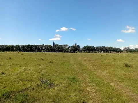 Campo en Venta de 15  ha