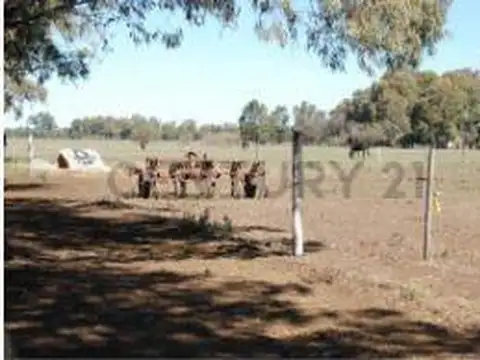 Venta de Campo, Ciudad de Oriente, Coronel Dorrego