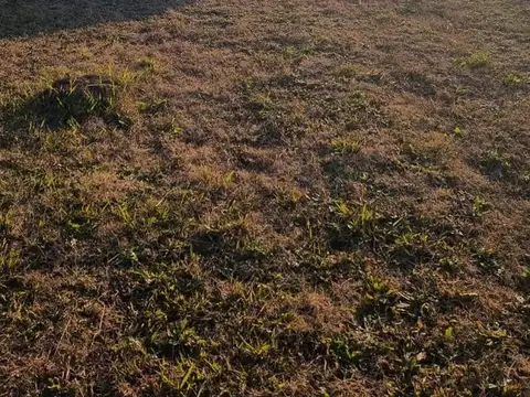 Terreno en Venta de 647,0 m2