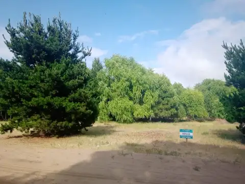 J. Campos e/ Newton y Olivieri