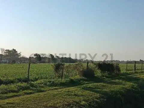 Rio de Janeiro 2300, Piso 0