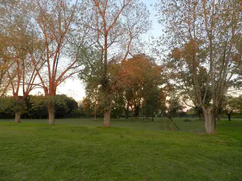 Terreno en Venta de 299,0 m2