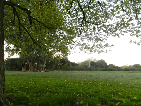 Terreno en Venta de 299,0 m2