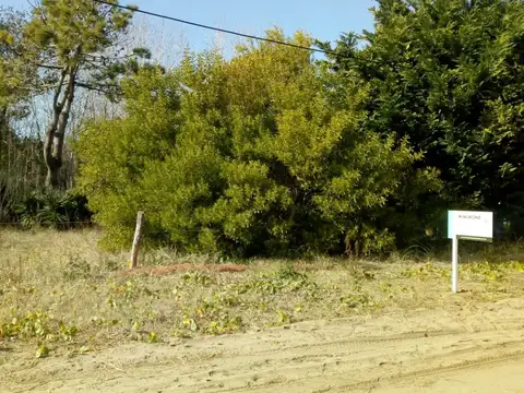 Cnel. Franklin Seaver