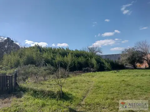Terreno en Alquiler de 4140,0 m2